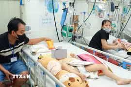 Bệnh nhi mắc tay chân miệng đang được điều trị tại Bệnh viện Nhi đồng 2 Thành phố Hồ Chí Minh. (Ảnh: Đinh Hằng/TTXVN)