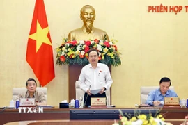Chủ tịch Quốc hội Trần Thanh Mẫn phát biểu khai mạc phiên họp. (Ảnh: Doãn Tấn/TTXVN)