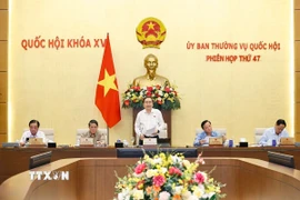 Chủ tịch Quốc hội Trần Thanh Mẫn phát biểu. (Ảnh: Doãn Tấn/TTXVN)