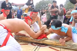 Bắc Ninh: Rộn ràng hội Kéo co Hữu Chấp