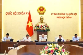 Chủ tịch Quốc hội Trần Thanh Mẫn phát biểu. (Ảnh: Doãn Tấn/TTXVN)