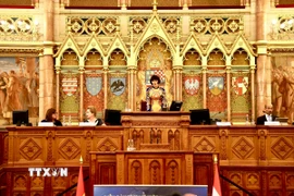 Chủ tịch Diễn đàn Phụ nữ Việt Nam tại châu Âu, Tiến sỹ Phan Bích Thiện phát biểu tại Diễn đàn "Định vị giá trị Việt ở nước ngoài trong kỷ nguyên số". (Ảnh: Phương Hoa/TTXVN)