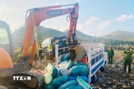 Lực lượng chức năng tiến hành tiêu hủy số nội tạng động vật không rõ nguồn gốc, xuất xứ. (Ảnh: TTXVN phát)