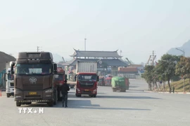 Phương tiện xuất nhập khẩu hàng hóa trong khu vực cửa khẩu quốc tế Hữu Nghị, Lạng Sơn. (Ảnh: Quang Duy/TTXVN)