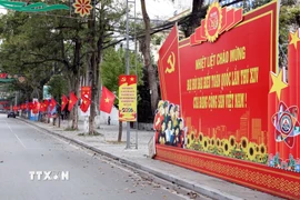 Các tuyến phố trung tâm tại các địa phương rực rỡ cờ hoa chào mừng Đại hội XIV của Đảng. (Ảnh: Văn Đạt/TTXVN)