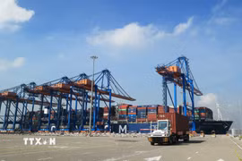 Xe chở container hoạt động trên cảng quốc tế Gemalink thuộc hệ thống Cảng biển Cái Mép, phường Tân Phước, Thành phố Hồ Chí Minh. (Ảnh: Hồng Đạt/TTXVN)