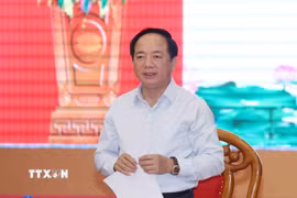 Đồng chí Trịnh Văn Quyết, Ủy viên Bộ Chính trị, Bí thư Trung ương Đảng, Trưởng Ban Tuyên giáo và Dân vận Trung ương phát biểu chỉ đạo buổi làm việc. (Ảnh: Phương Hoa/TTXVN)