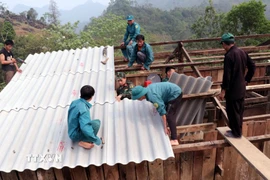 Chính quyền xã Bắc Mê (Tuyên Quang) cùng các lực lượng giúp người dân lợp lại nhà bị lốc xoáy. (Ảnh: Đức Thọ/TTXVN)
