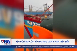 Cứu nạn kịp thời 11 thuyền viên trên 2 tàu cá gặp nạn ở vùng biển Vũng Tàu