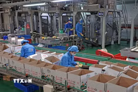 Công ty TNHH Long Hải, Cụm công nghiệp 1, phường Thạch Khôi, thành phố Hải Phòng, mỗi năm sản xuất hàng trăm tấn sản phẩm tiêu thụ trong nước và xuất khẩu. (Ảnh: Trần Việt/TTXVN)