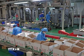 Công ty TNHH Long Hải, Cụm công nghiệp 1, phường Thạch Khôi, thành phố Hải Phòng mỗi năm sản xuất hàng trăm tấn sản phẩm tiêu thụ trong nước và xuất khẩu. (Ảnh: Trần Việt/TTXVN)