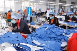 May hàng xuất khẩu sang thị trường Nhật Bản tại Công ty may Hưng Việt (Phố Nối, Hưng Yên). (Ảnh: Trần Việt/TTXVN)