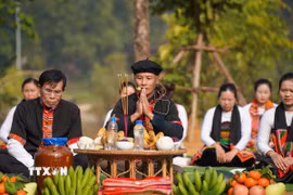 Trong lễ mừng cơm mới, Thầy Mo đóng vai trò là chủ lễ, là người kết nối giữa cộng đồng với các thần linh, đọc các bài văn khấn. (Ảnh: Khánh Hoà/ TTXVN)