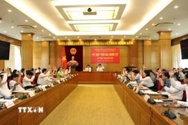 Các đại biểu Hội đồng Nhân dân tỉnh Vĩnh Phúc biểu quyết thông qua các nghị quyết của kỳ họp. (Ảnh: Hoàng Hùng/TTXVN)