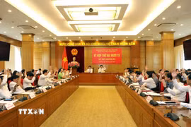 Các đại biểu Hội đồng Nhân dân tỉnh Vĩnh Phúc biểu quyết thông qua các nghị quyết của kỳ họp. (Ảnh: Hoàng Hùng/TTXVN)