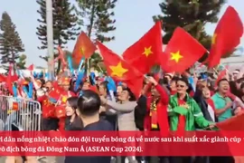 Người hâm mộ đón đội tuyển Việt Nam rước cúp vô địch ASEAN Cup 2024