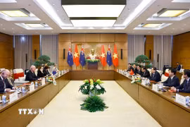 Quang cảnh buổi hội kiến. (Ảnh: Doãn Tấn/TTXVN)