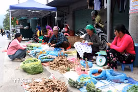 Bà con bày bán những sản vật thôn bản lên phiên chợ vùng cao Minh Tân (Tuyên Quang). (Ảnh: Đức Thọ/TTXVN)