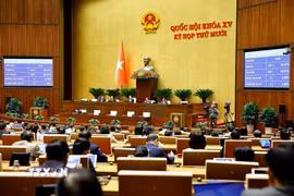 Quốc hội biểu quyết thông qua Luật sửa đổi, bổ sung một số điều của Luật Tiếp công dân, Luật Khiếu nại, Luật Tố cáo. (Ảnh: Doãn Tấn/ TTXVN)