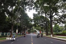 Những tuyến phố rợp bóng cây xanh tại Buôn Ma Thuột. (Ảnh: Kha Phạm/TTXVN)