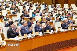 Tổng Bí thư Tô Lâm cùng các đồng chí lãnh đạo Đảng, Nhà nước và đại biểu dự phiên khai mạc. (Ảnh: Doãn Tấn/ TTXVN)