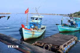 Cán bộ Trạm Biên phòng cửa khẩu cảng Dương Đông (Bộ đội Biên phòng Kiên Giang) thực hiện nhiệm vụ kiểm tra tàu cá ra vào cửa sông Dương Đông, thành phố Phú Quốc. (Ảnh: Lê Huy Hải/TTXVN)