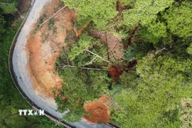 Khối đất đá khoảng 6.000m3 trên đồi thông có diện tích khoảng 3.500m2 phía taluy dương của đèo D’ran đang bị nứt toác, có thể đổ ập xuống mặt đường bất cứ lúc nào. (Ảnh: Nguyễn Dũng/TTXVN)
