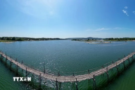 Với chiều dài khoảng 800m, cầu Ông Cọp đang nắm giữ kỷ lục "cầu gỗ dài nhất Việt Nam." (Ảnh: Khánh Hòa/ TTXVN)