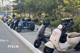 Triệt phá đường dây buôn lậu hơn 500 xe điện ba bánh từ Trung Quốc về Thanh Hóa