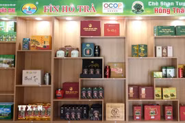 Các sản phẩm trà OCOP của tỉnh Tuyên Quang được trưng bày tại điểm giới thiệu sản phẩm. (Ảnh: Minh Tâm/TTXVN)