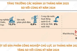 Chỉ số sản xuất toàn ngành công nghiệp trong 10 tháng năm 2025 tăng 9,2% 