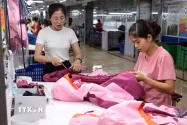 May hàng xuất khẩu sang thị trường EU tại Công ty May TNG (Thái Nguyên). (Ảnh: Trần Việt/TTXVN)