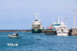 Tàu vận tải công suất lớn neo đậu tại cảng cá đặc khu Phú Quý (Lâm Đồng). (Ảnh: Nguyễn Thanh/TTXVN)