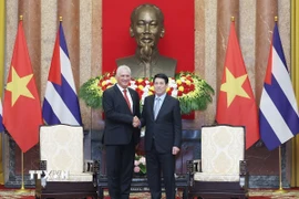 Chủ tịch nước Lương Cường hội kiến Bí thư thứ Nhất Đảng Cộng sản Cuba, Chủ tịch nước Cuba Miguel Díaz-Canel Bermúdez. (Ảnh: Lâm Khánh/TTXVN)