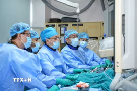 Các bác sỹ Bệnh viện Đại học Y dược Thành phố Hồ Chí Minh thực hiện kỹ thuật TAVI. (Ảnh: TTXVN phát)