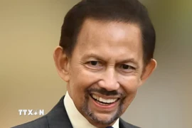 Quốc vương Brunei Darussalam Haji Hassanal Bolkiah. (Ảnh: TTXVN phát)