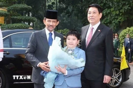 Thiếu nhi Thủ đô Hà Nội chào đón Chủ tịch nước Lương Cường đón Quốc vương Brunei Darussalam Haji Hassanal Bolkiah. (Ảnh: Lâm Khánh/TTXVN)