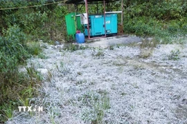 Nghệ An: Băng giá xuất hiện tại xã biên giới Na Ngoi