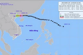 Bản đồ dự báo quỹ đạo và cường độ bão số 09 phát lúc 08h00 ngày 25/9/2025. (Nguồn: Trung tâm Dự báo Khí tượng Thủy văn Quốc gia)
