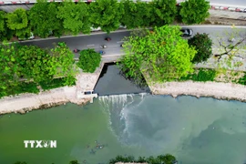 Điểm đầu sông Tô Lịch (đoạn đường Bưởi) nước cống ngầm từ phía Phan Kế Bính xả thẳng nước sinh hoạt chưa qua xử lý. (Ảnh: Lê Đông/TTXVN)
