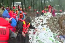 Trung tâm Dự báo Khí tượng Thủy văn Quốc gia thông tin về tác động của bão số 10 