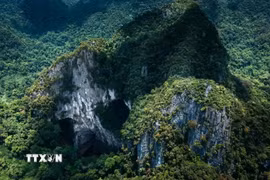 Núi đá vôi karst tại Phong Nha-Kẻ Bàng với các cửa hang lớn mở ra giữa rừng nguyên sinh, phản ánh quá trình kiến tạo địa chất kéo dài hàng triệu năm. (Ảnh: Kha Phạm/TTXVN)