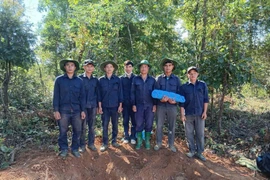 Đội K53 tìm kiếm quy tập hài cốt liệt sỹ ở Lào và Campuchia. (Ảnh: TTXVN phát)