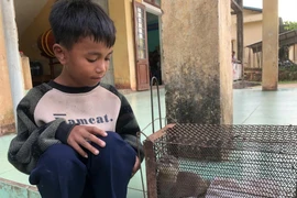 Em Hồ Văn Xiếc, học sinh lớp 4C, Trường Tiểu học Tà Long, phát hiện một cá thể rái cá bên bờ suối trong tình trạng sức khỏe yếu. (Ảnh: TTXVN phát)