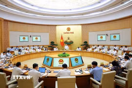 Phiên họp Chính phủ chuyên đề về xây dựng pháp luật tháng 6 năm 2026. (Ảnh: Dương Giang/TTXVN)