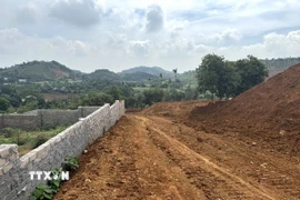 Tường bao kiên cố được dựng lên ngay trên đất đồi Ba Vành (Ba Vì, Hà Nội). (Ảnh: Quốc Lũy/TTXVN)