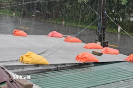 Gia cố chằng chống nhà cửa. (Ảnh: Mai Trang/TTXVN)