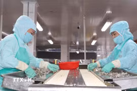 Cà Mau tăng cường giải pháp xuất khẩu tạo đà cho tăng trưởng kinh tế