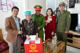 Ảnh minh họa. (Ảnh: Minh Tâm/ TTXVN)