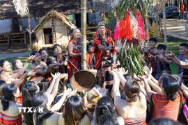 Các nghệ nhân Làng Du lịch cộng đồng Đăk Răng, xã Dục Nông, tỉnh Quảng Ngãi tái hiện Lễ mừng lúa mới của dân tộc Giẻ Triêng. (Ảnh: Dư Toán/TTXVN)